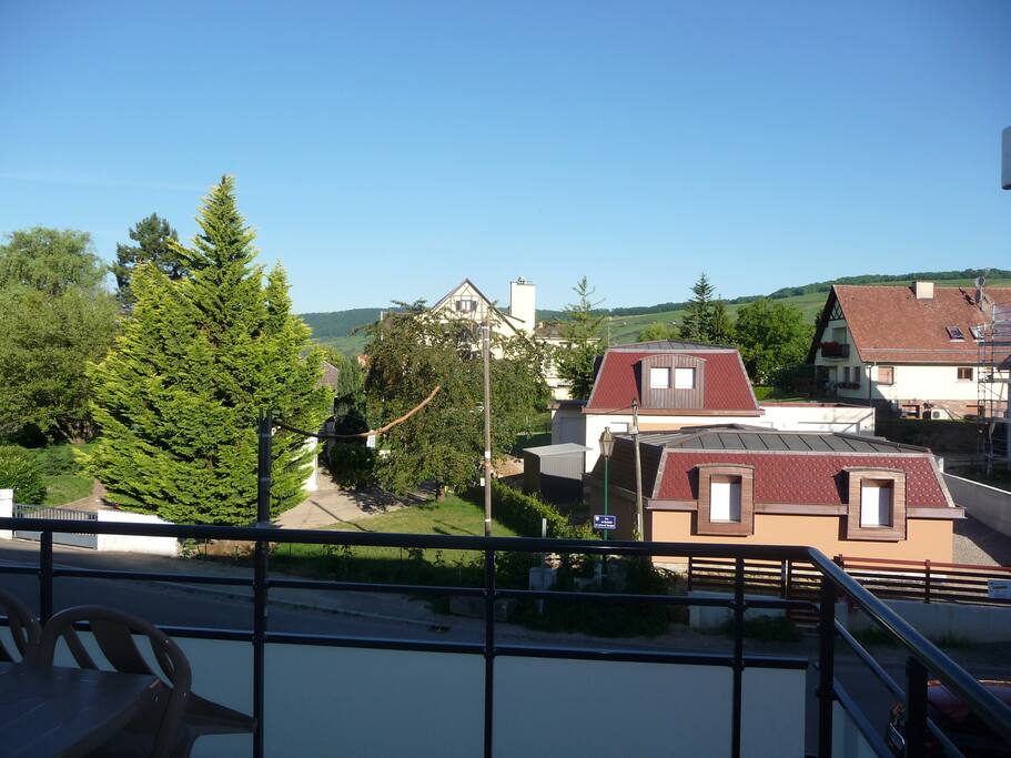 vue de la terrasse sur le vignoble