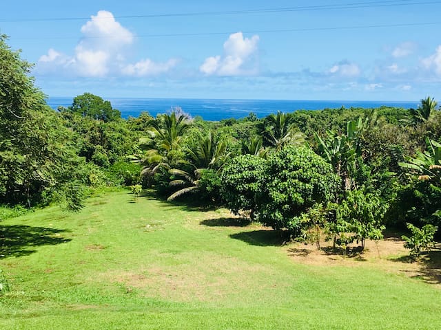 Hana Nautilus- Ocean view 3 bed 2 bath family home