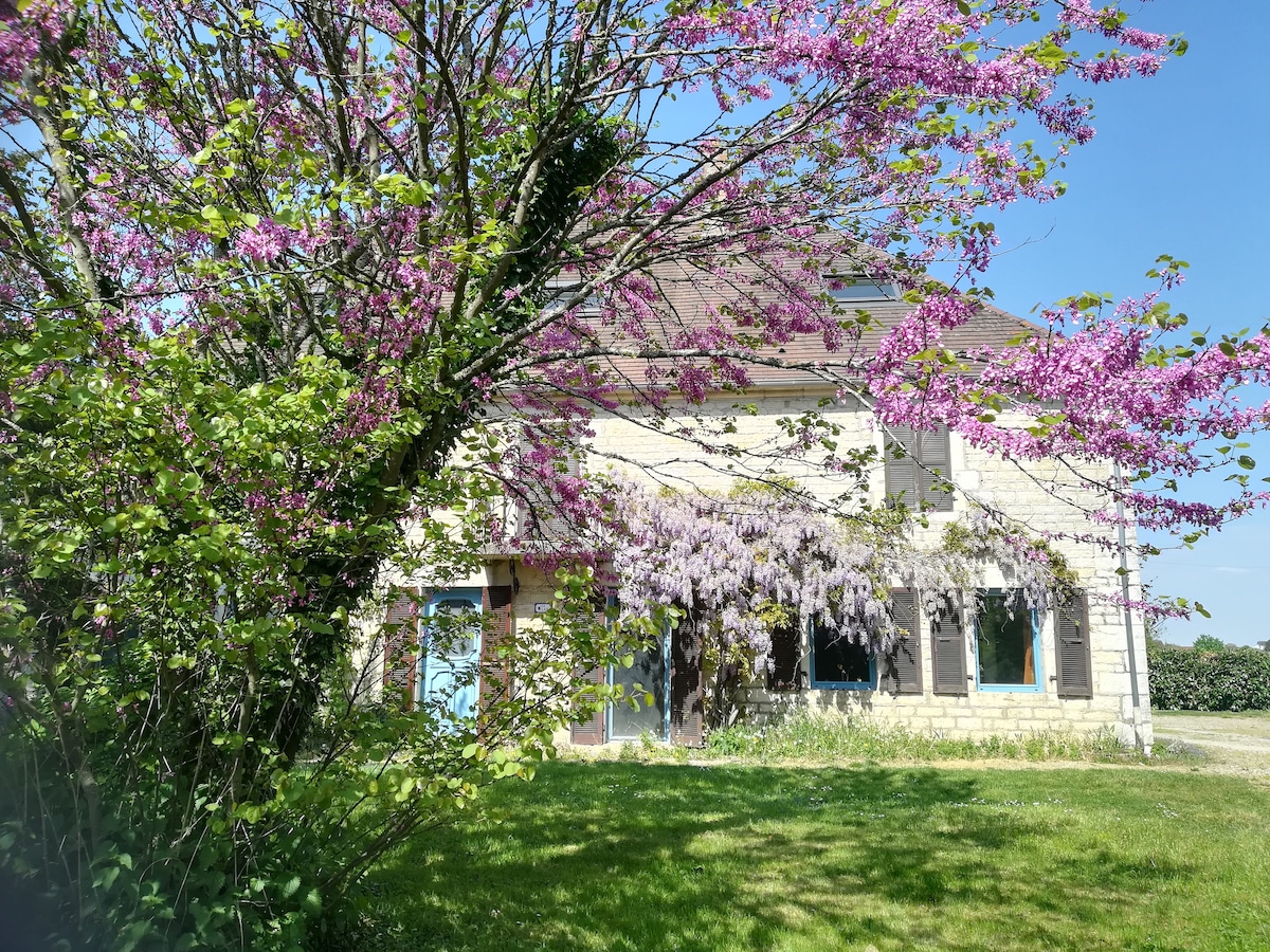 A charming family house is set amidst lush greenery, featuring a mix of flowering trees. The exterior showcases light-colored walls and several windows, allowing natural light to fill the interior. The surrounding garden has a well-maintained lawn, enhancing the tranquil setting.