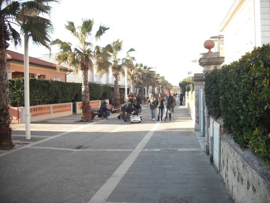 passeggiata marina di cecina
