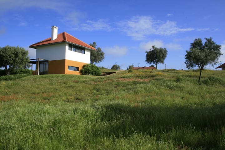 Casa a Oliveira, heerlijk huis-verrassend verblijf