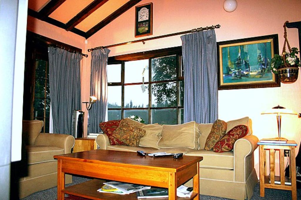 Downstairs living/TV room.