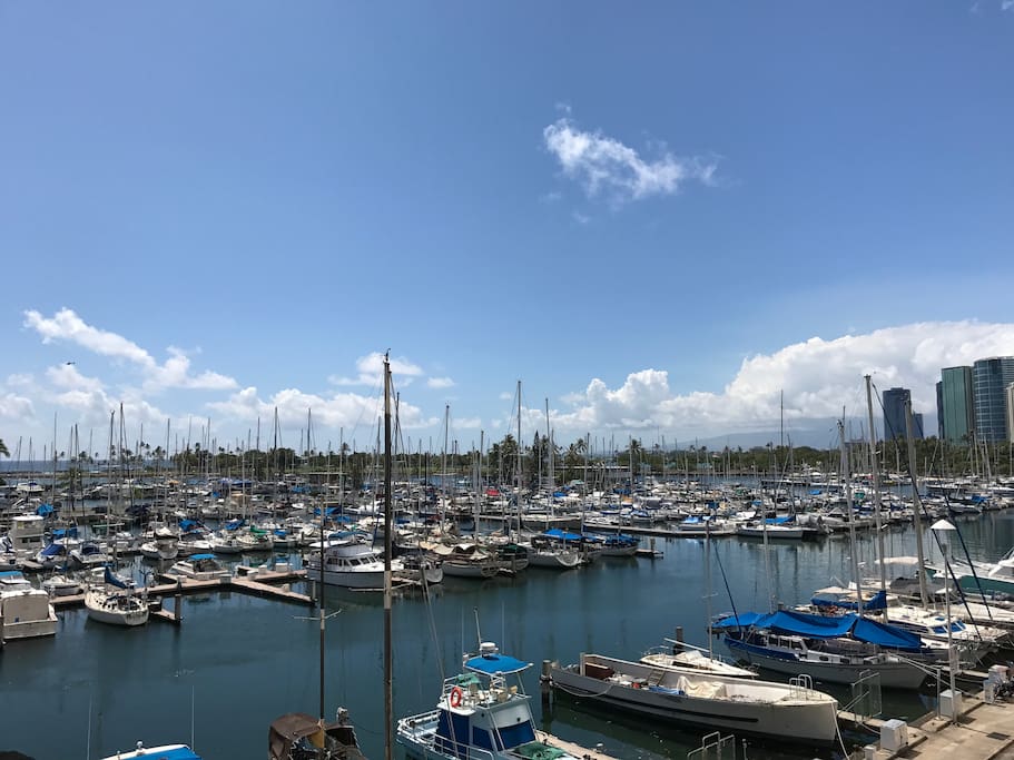 180 degrees view of the marina, you get the trade winds!