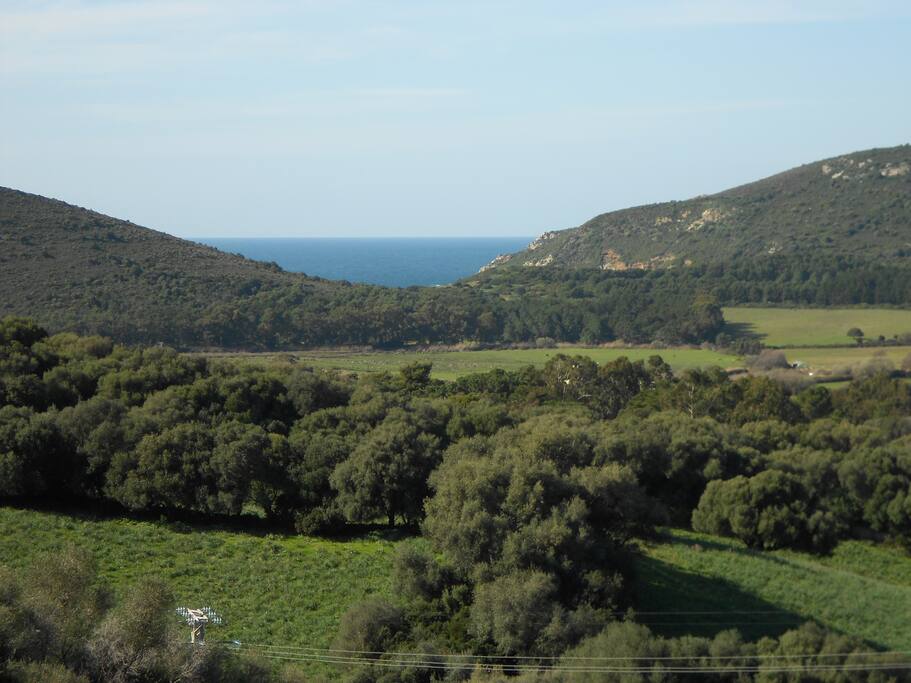 Vue sur la campagne et la mer.