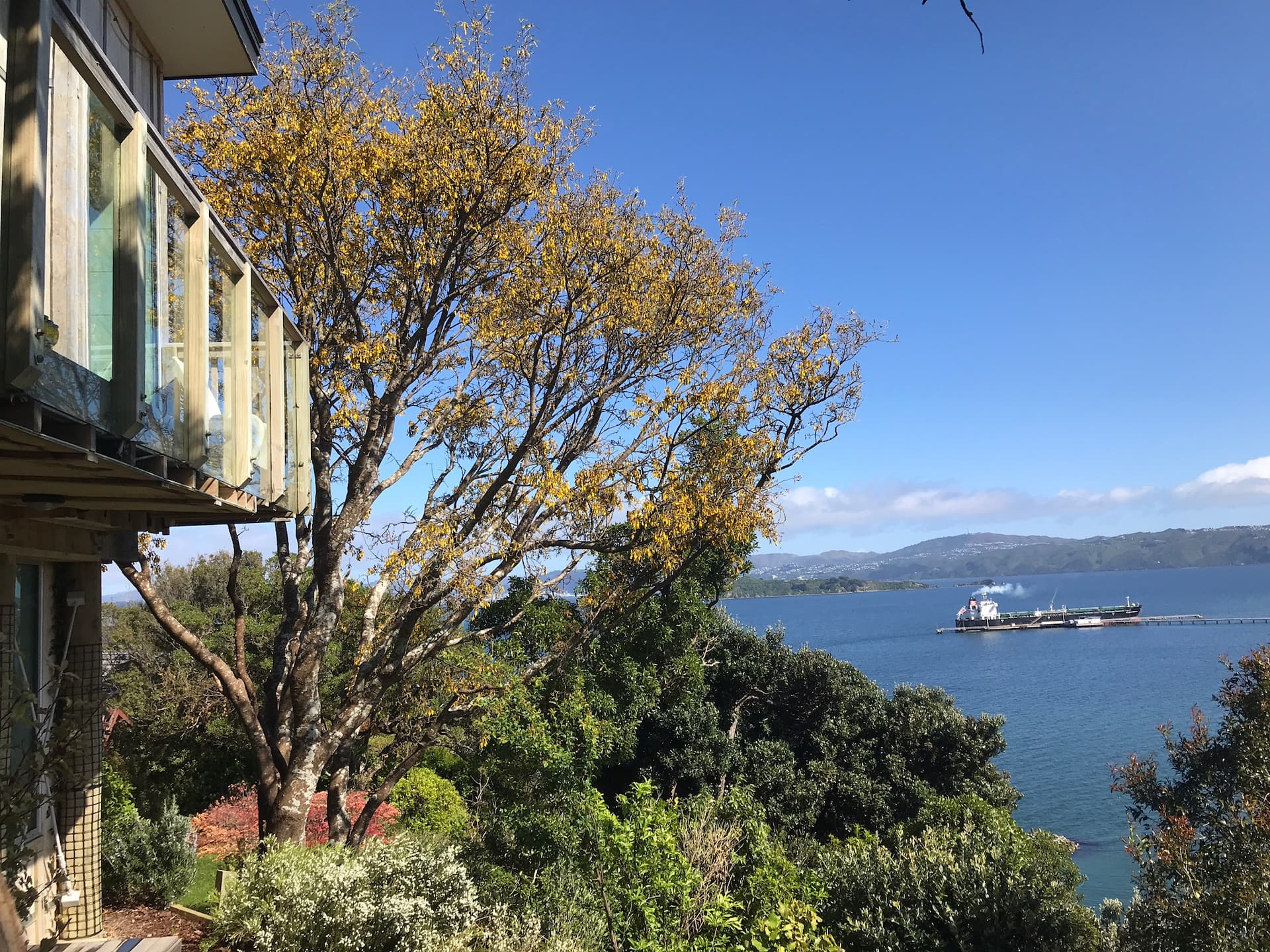 Bird’s Nest studio over the harbour