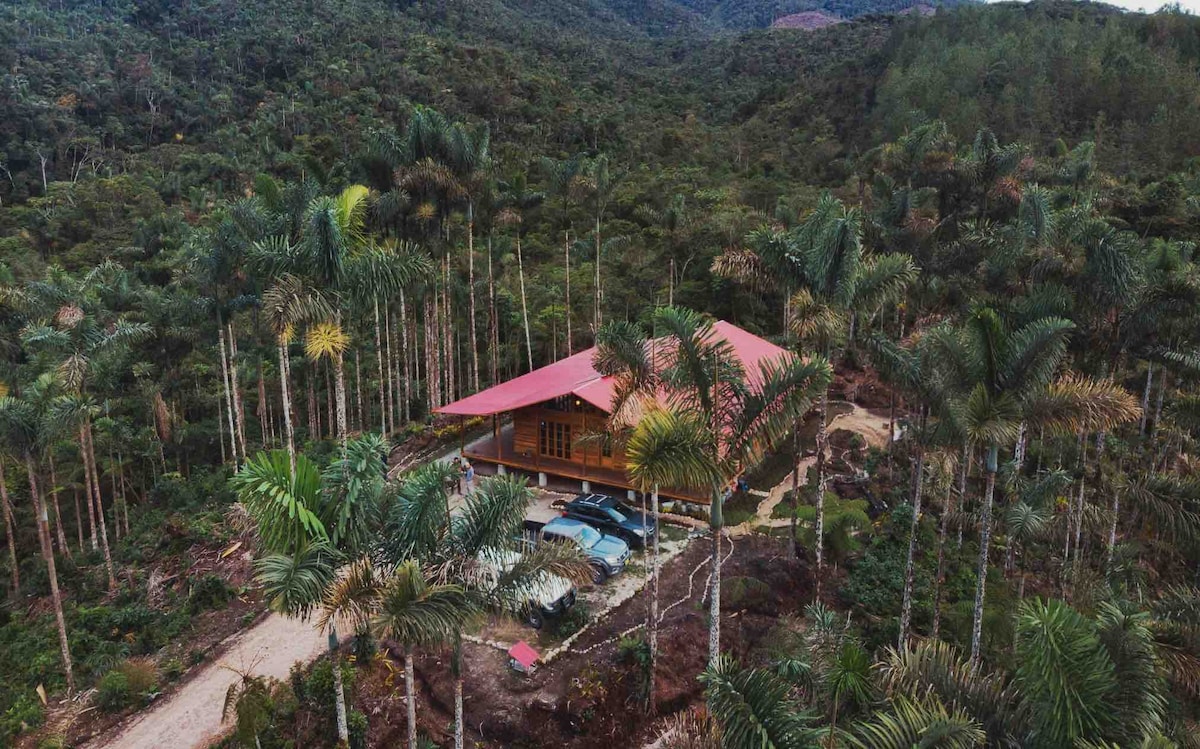 The house is set amidst lush greenery, surrounded by tall palm trees and dense forest. A vibrant red roof contrasts with the natural scenery. The driveway leads to a covered area with vehicles, emphasizing the tranquil environment and proximity to nature.