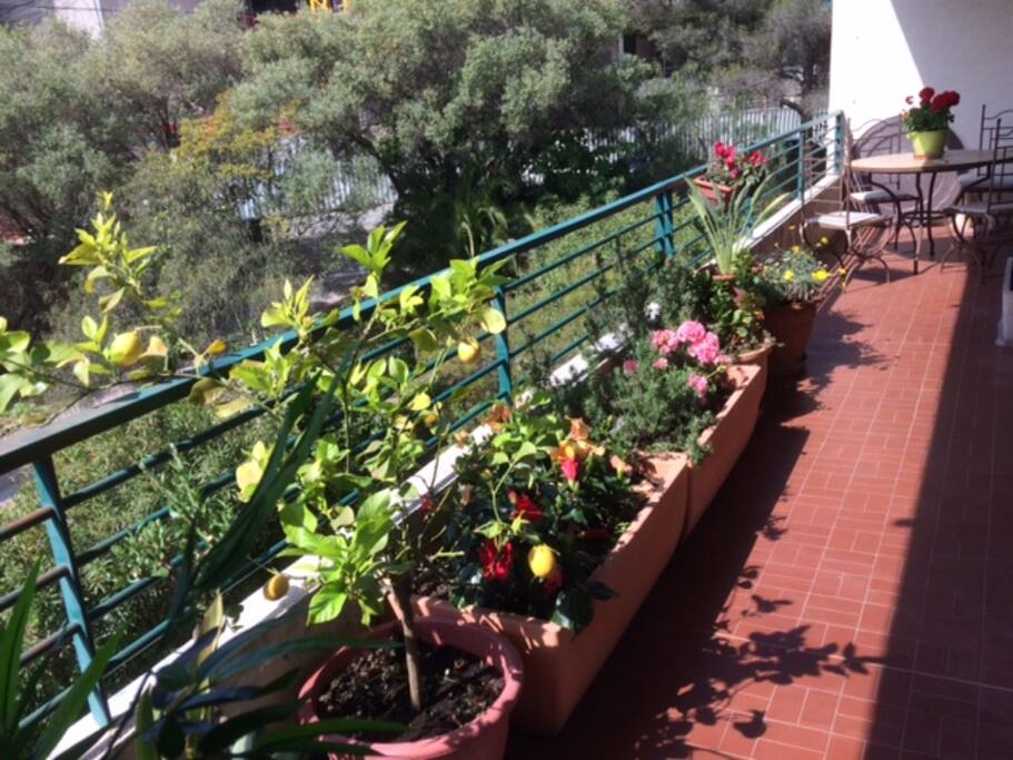 balcon