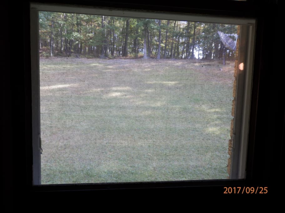 Bathroom view