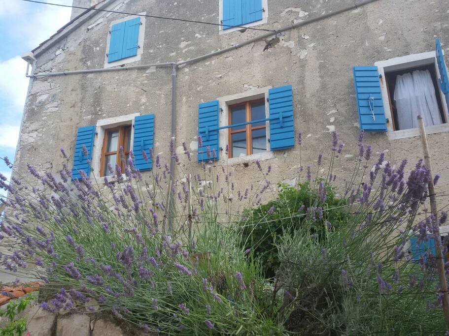 Front of the house