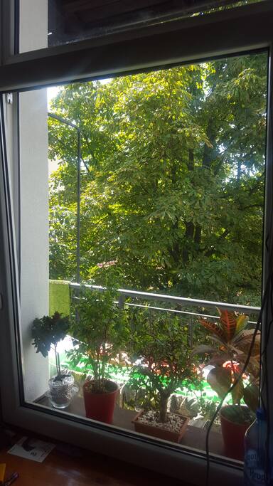 view from flat