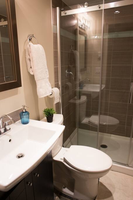 Large shower enclosure