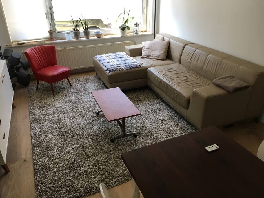 Spacious living room