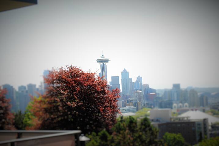 PH style Lux w/THE Seattle “Post Card” view too gallery image 3