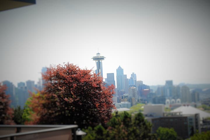 The most famous view of Seattle