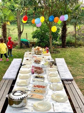 Müstakil 4 oda 1 salonlu 1dönüm arazi içinde yaşam gallery image 2