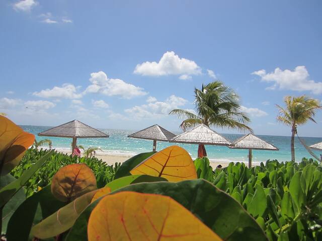 Magnifique Studio. Car available!