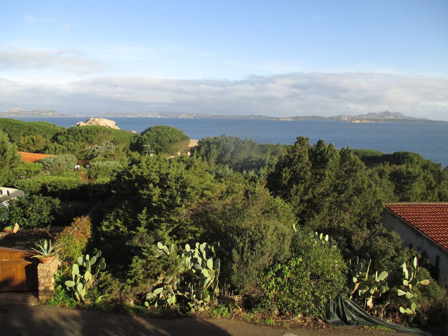 Panorama