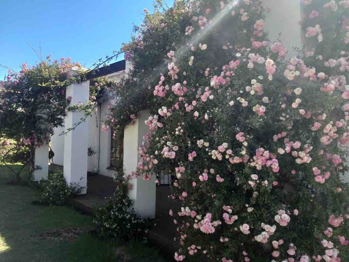1Gino, luxury & comfort in Clarens
