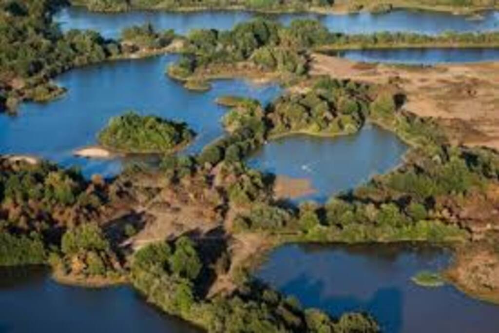 Parc de la Brenne