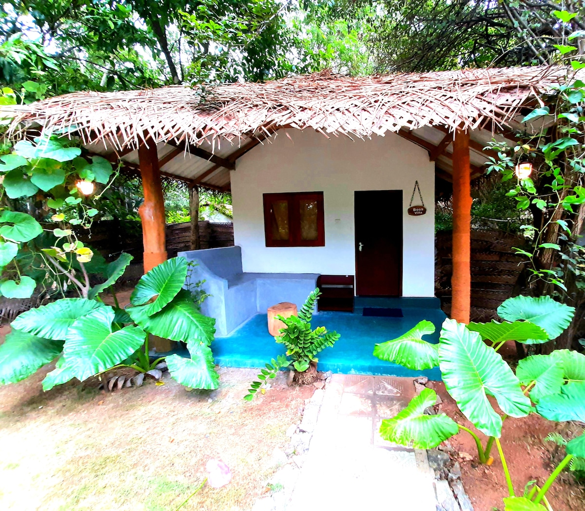 A welcoming entrance to a small guesthouse is surrounded by lush greenery. The thatched roof provides shade over a simple, bright exterior. Large tropical leaves frame the entrance, and a bench sits quietly beside the door, inviting a moment of relaxation in nature.