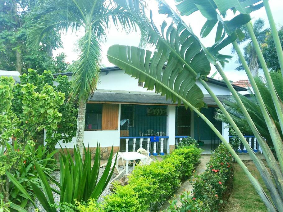 Jardín tropical exclusivo