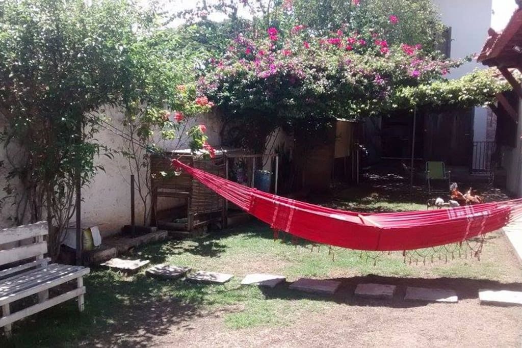 Jardim