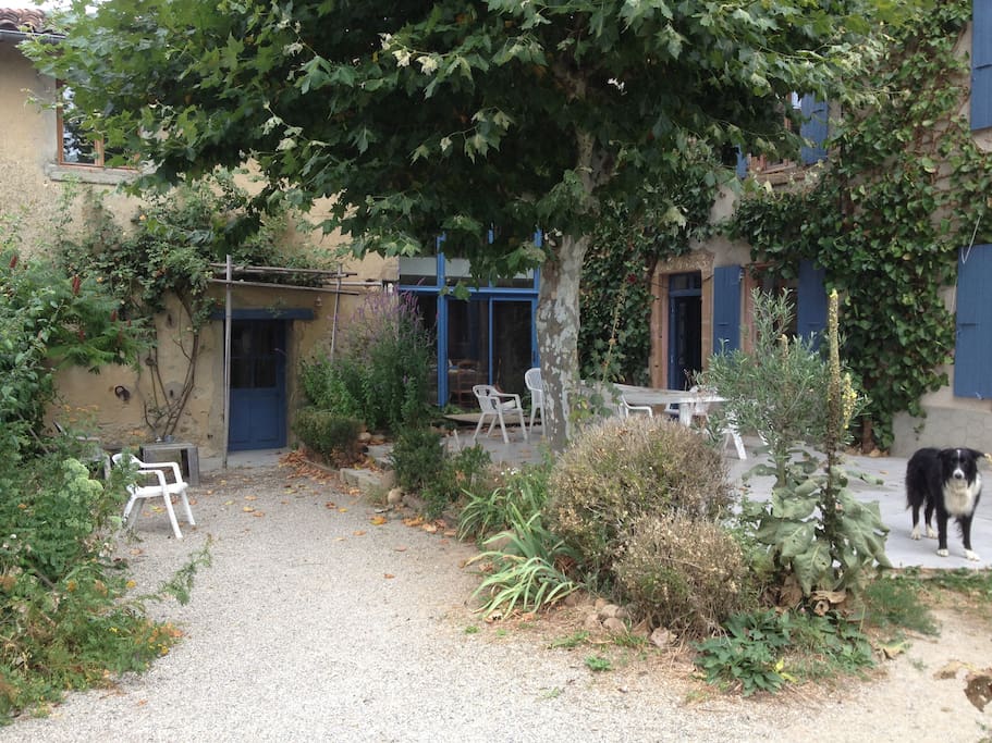 Cour ombragée