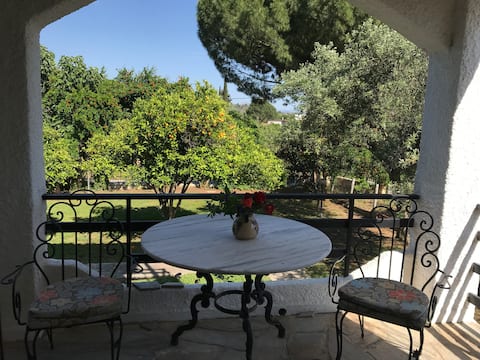 Villa Amarynthos