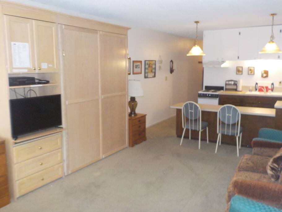 Living Area/Murphy Bed