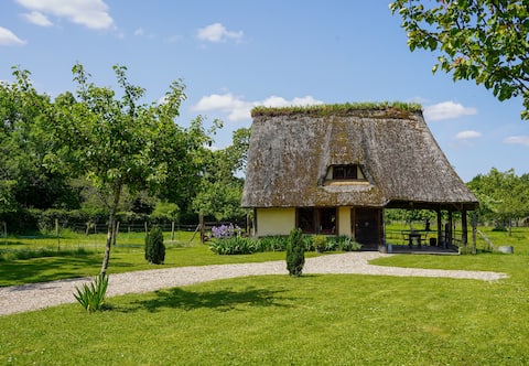 Charlotte's House