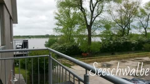 The tern, Inselmaedchen Harriersand