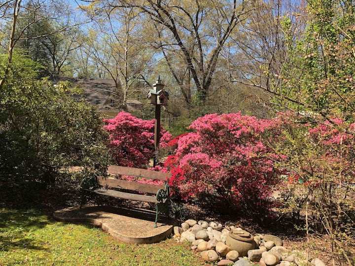 Suite Spot in City of Decatur Guest suites for Rent in Decatur