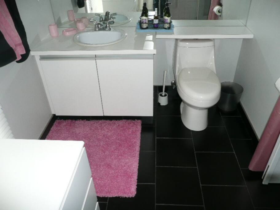 Large bathroom off queen bed room facing quiet courtyard.