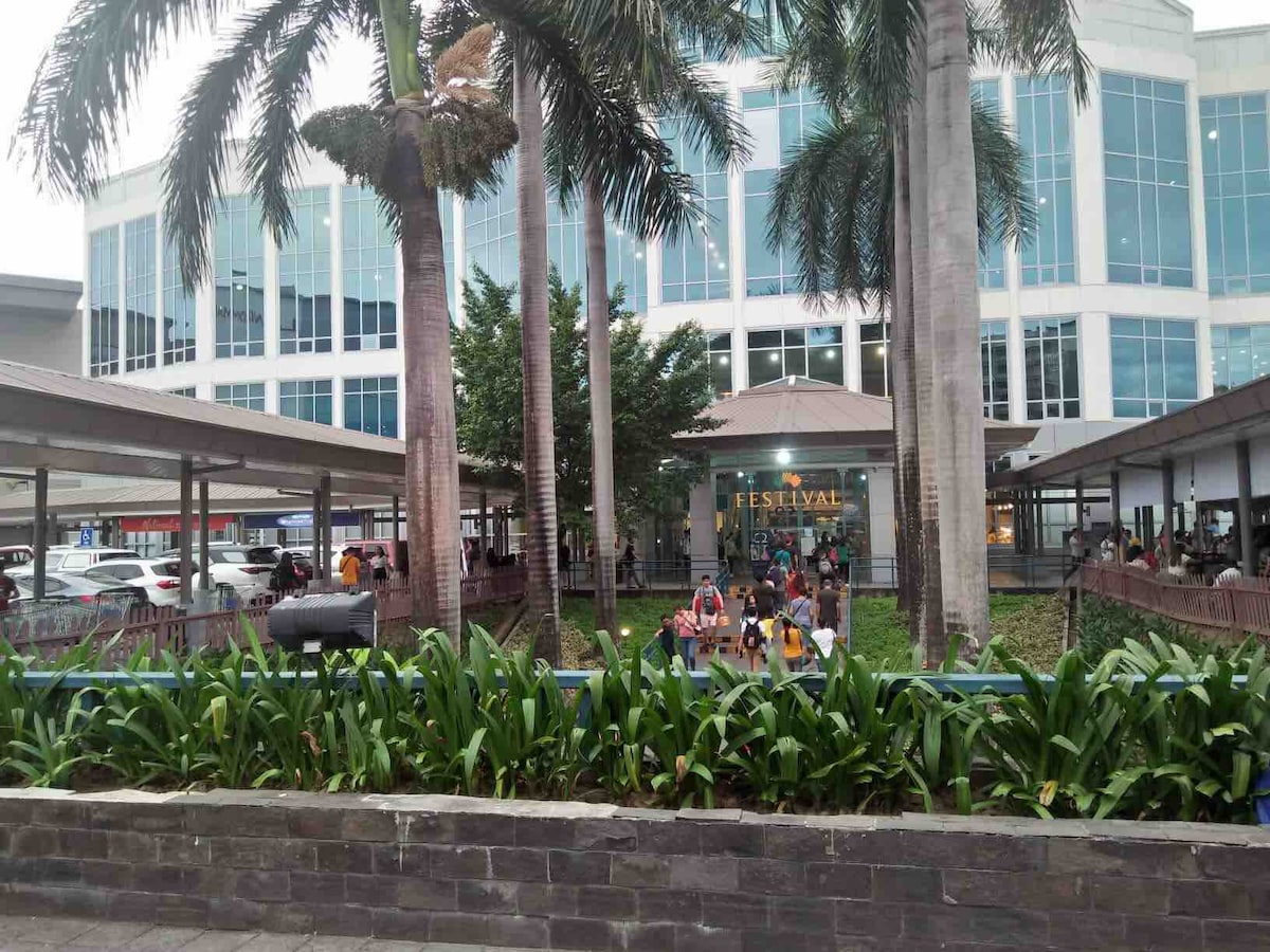 The image displays a bustling outdoor area in front of a commercial building, surrounded by palm trees. People can be seen engaging in various activities, while green foliage lines the foreground, creating a vibrant and welcoming atmosphere.