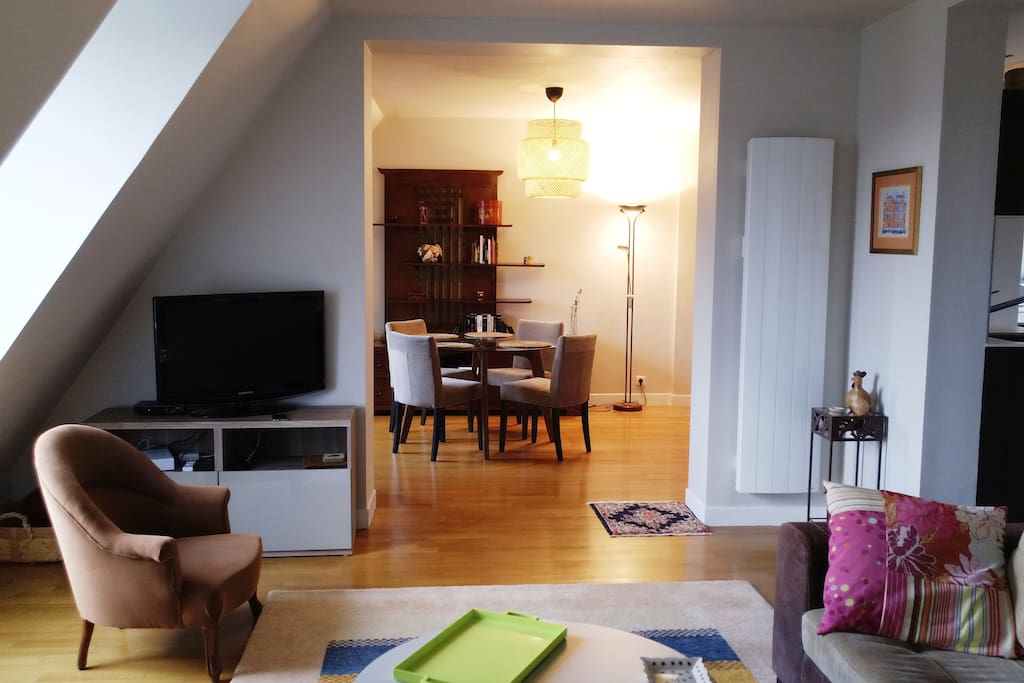 Large living room (40m2) with unobstructed views of the Quai Branly Jacques Chirac museum
