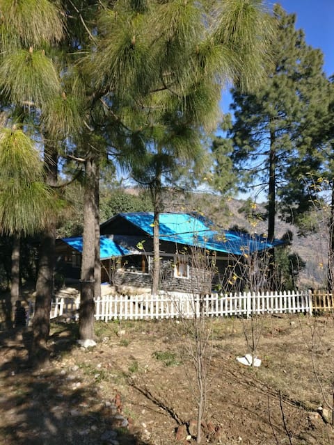 Blue Cottage, near Jim Corbett (2 hrs drive)
