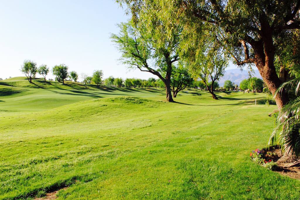 Back patio view of the par 5 11th on stadium