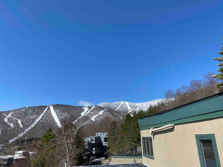 Sugarbush/Mad River Valley Gem 4Br/2Ba and VIEWS Condominiums for
