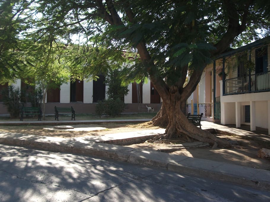 Frente de la Casa, en el No. 12