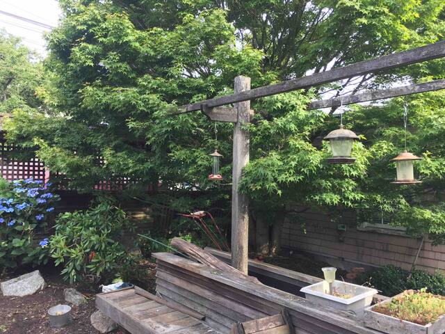 Capitol Hill SFR 5 Bed -3 BA. Volunteer Park gallery image 3