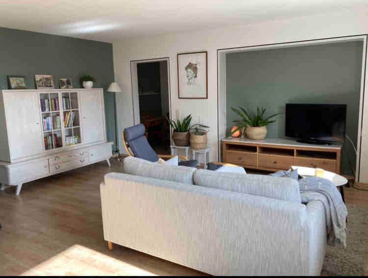 The living room features a soft gray couch facing a television and a light wooden cabinet. A comfortable armchair is positioned next to potted plants. Walls are painted in calming colors, with a bookcase visible in the background.