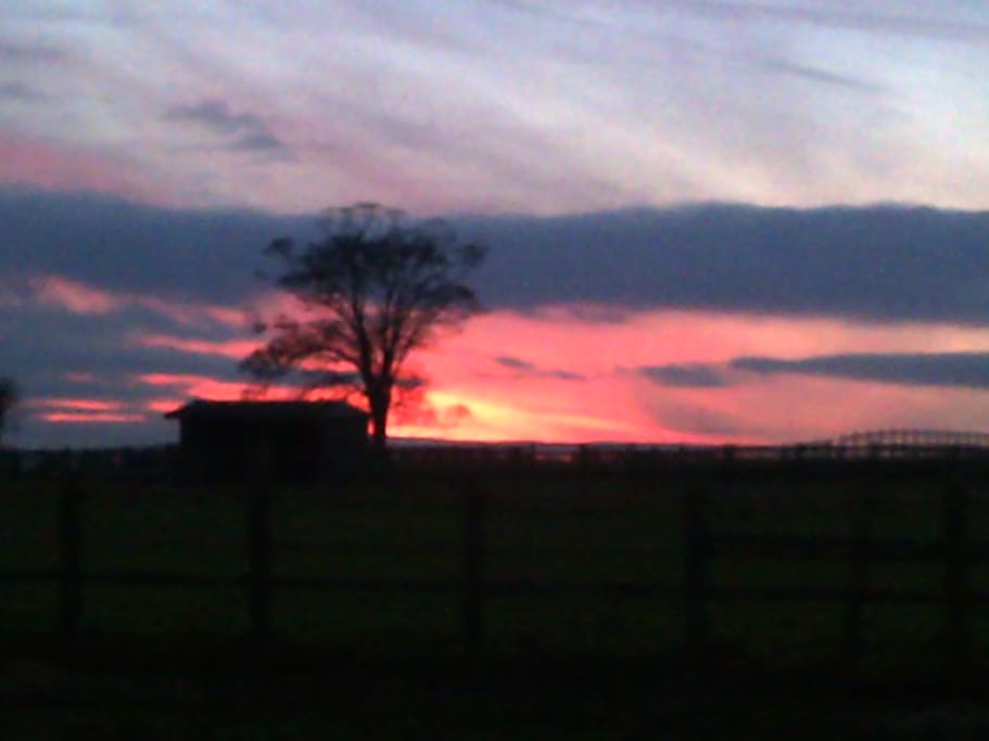 Sunset