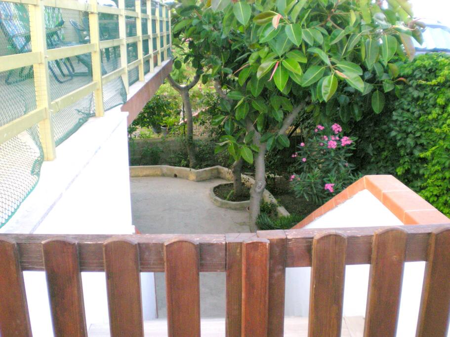 Ingresso 1