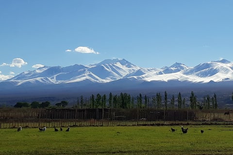 Popular Airbnb listing: Rancho de Ansilta in San Juan