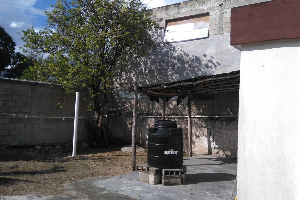 Patio trasero