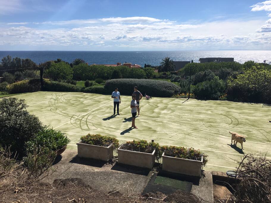 Tennis court