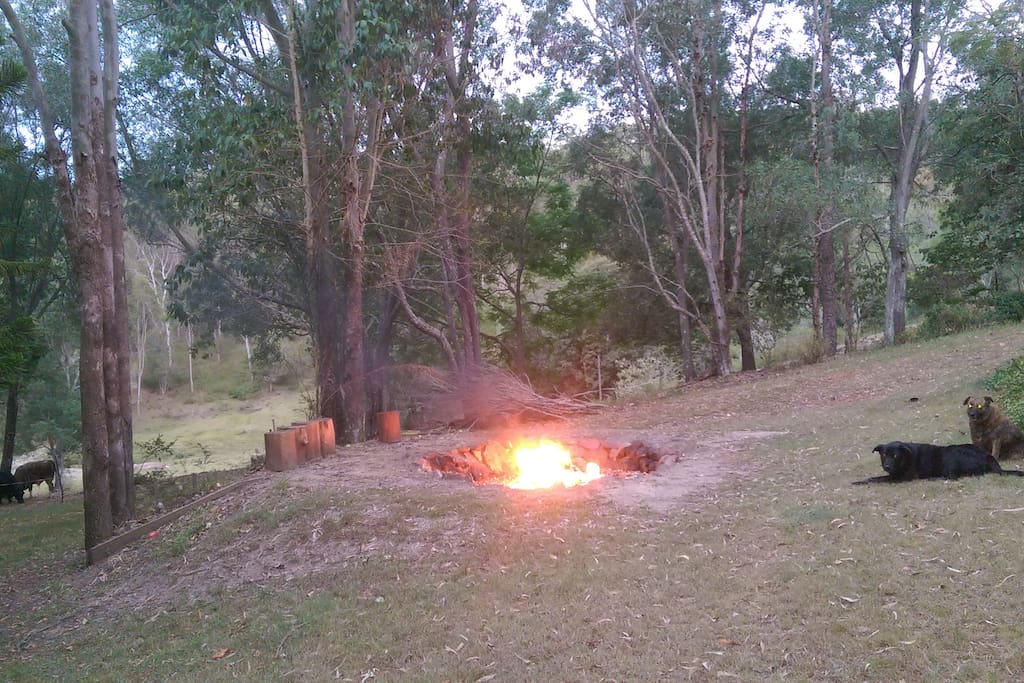 Fire pit for those cool winter nights or camp cooking.