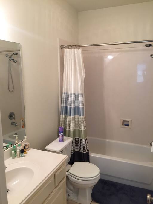 Bathroom with shampoo, body wash, hair dryer