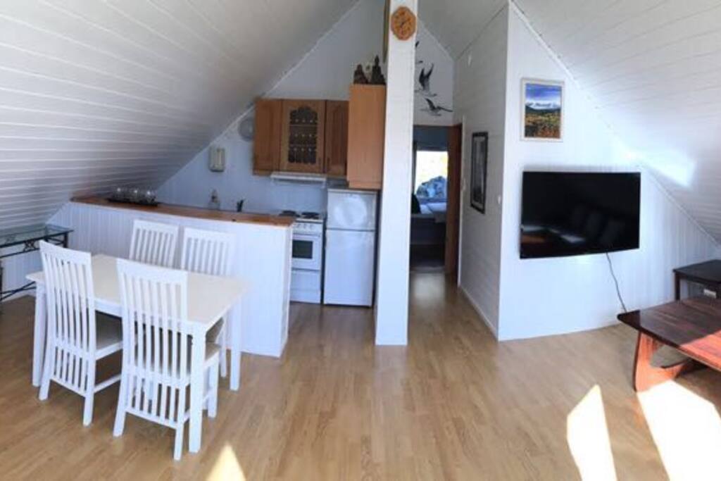 Living room and kitchen