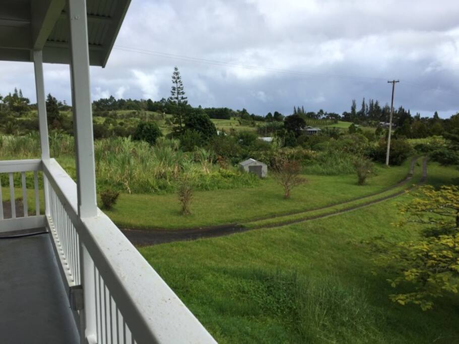 Driveway to serenity
